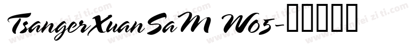 TsangerXuanSaM W05字体转换